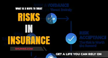 Risk Treatment: Insurers' Strategies for Managing Uncertainty