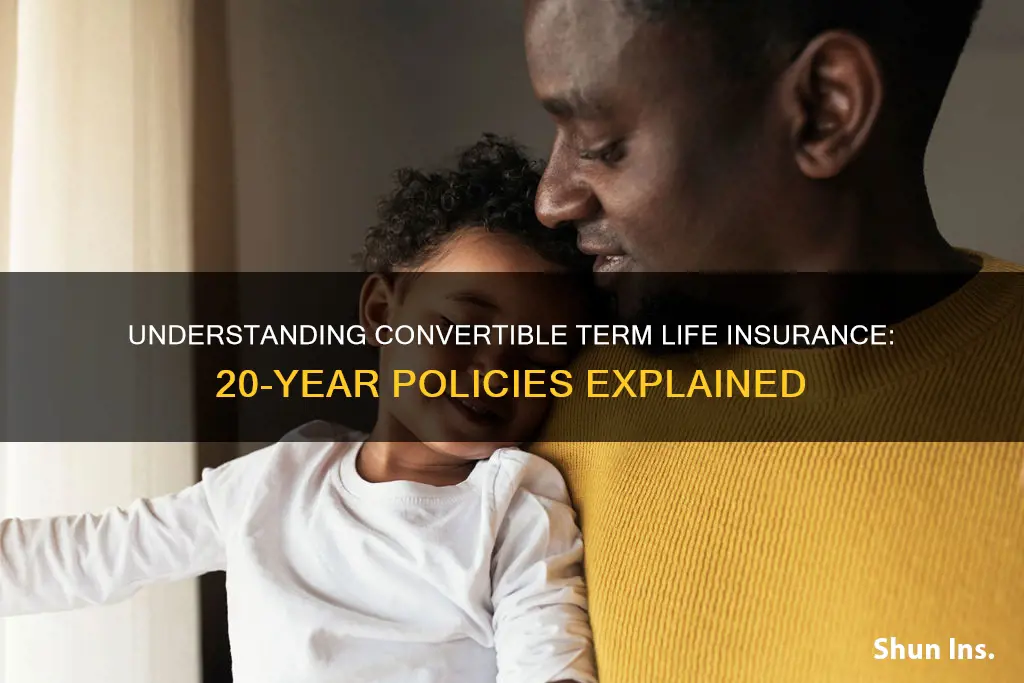 what is 20 year convertible term life insurance