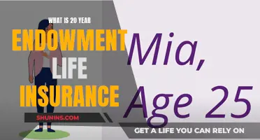 Endowment Life Insurance: 20-Year Commitment for Peace of Mind