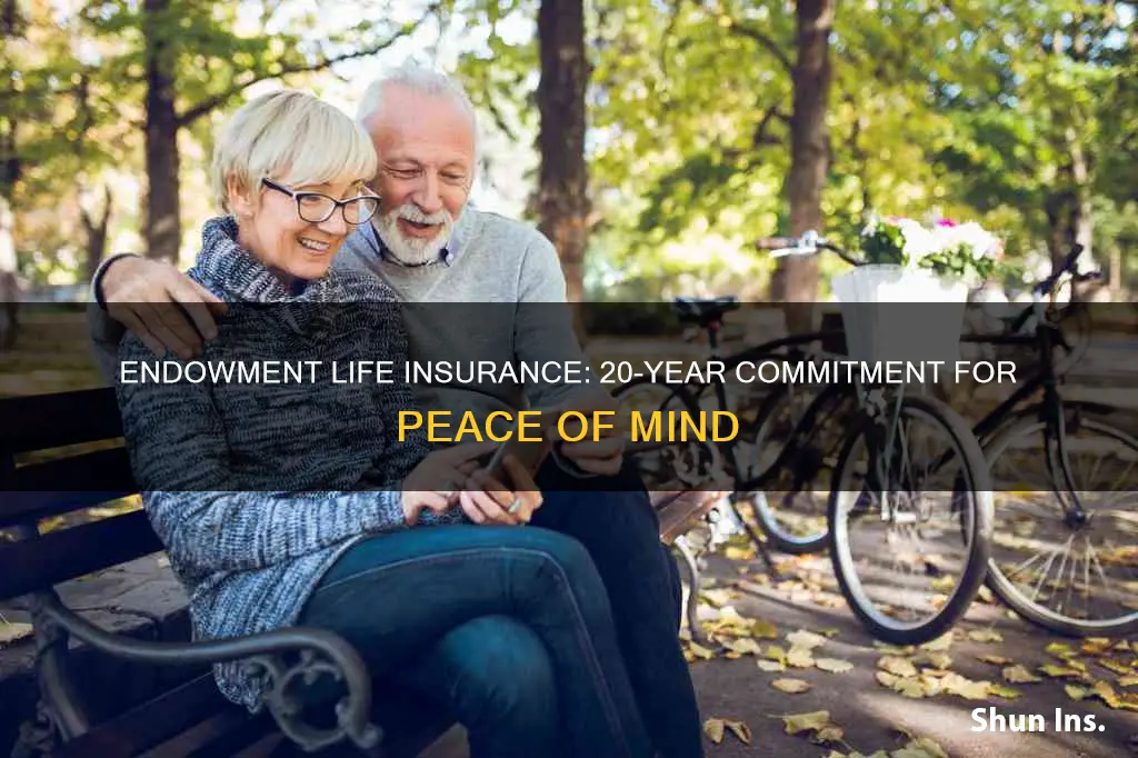 what is 20 year endowment life insurance