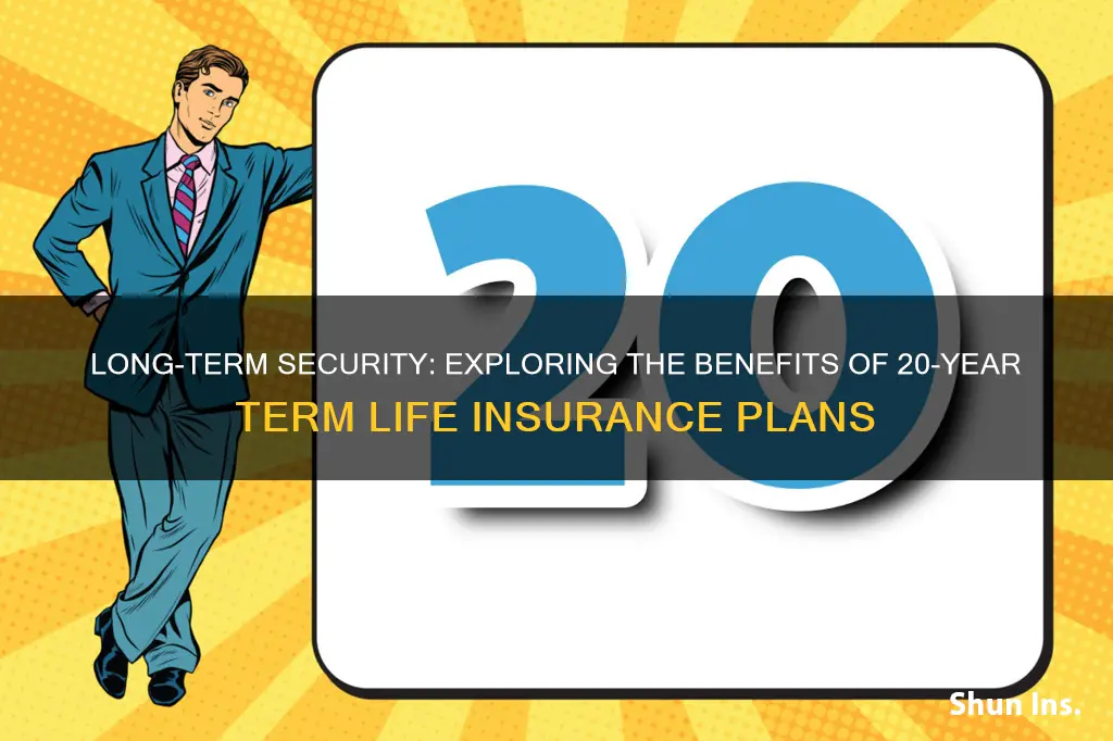 what is 20 year term insurance