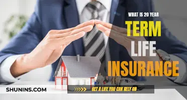 Term Life Insurance: 20-Year Policy Explained