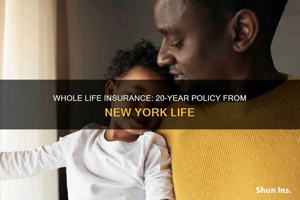 what is 20 years whole life insurance new york life