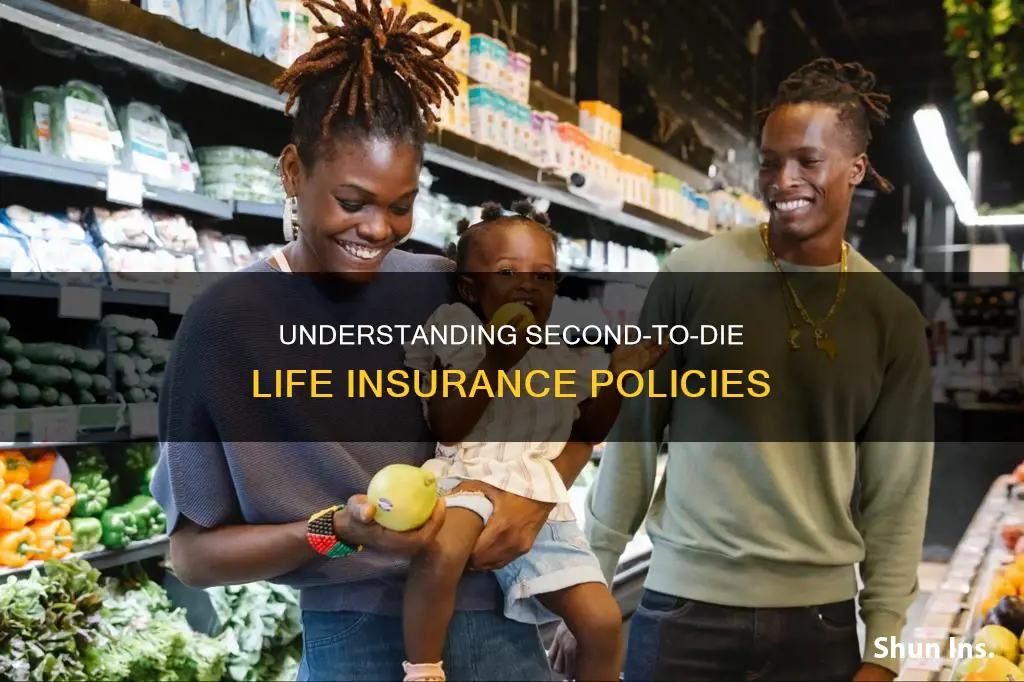 what is 2nd to die life insurance