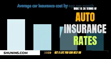 Auto Insurance Rates: 36 Terms You Need to Know