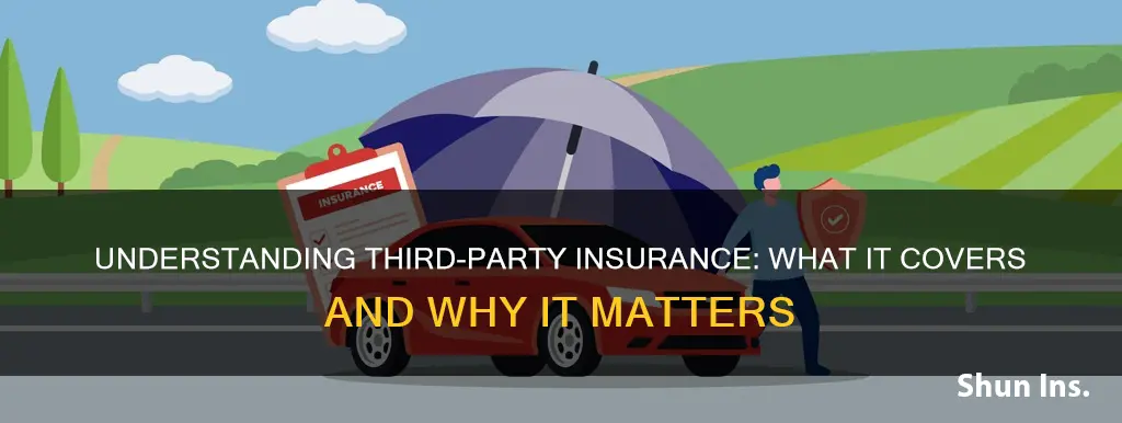 what is 3rd insurance called