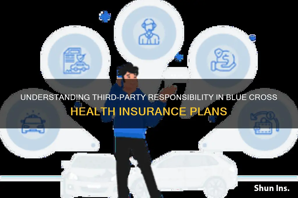 what is 3rd party responsibility blue cross health insurance