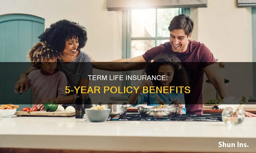 what is 5 year term life insurance