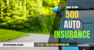 Understanding Auto Insurance: The 500/500 Coverage Breakdown