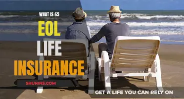 Understanding End-of-Life Planning with 65 EOL Insurance