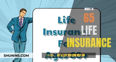 Life Insurance at 65: What You Need to Know