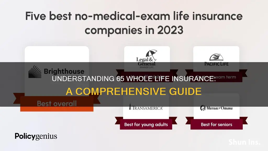 what is 65 whole life insurance