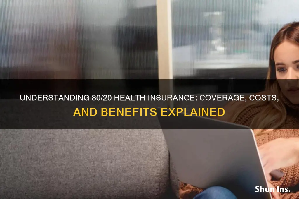 what is 80 20 health insurance