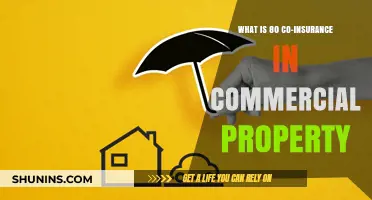 Understanding Commercial Property: 80% Co-Insurance Clause