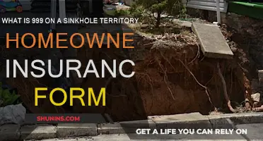 Understanding Sinkhole Territory and Homeowners Insurance: 999 Form