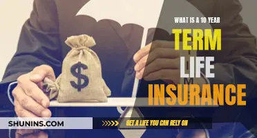 Life Insurance: 10-Year Term Policy Explained