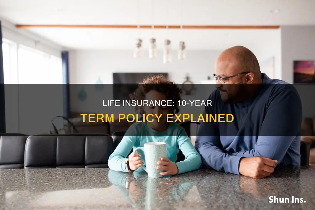 what is a 10 year term life insurance