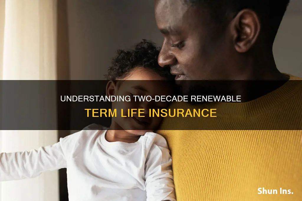 what is a 20 year renewable term life insurance