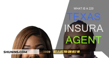 Understanding the Role of a Texas Insurance Agent (220)