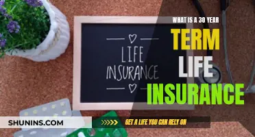 Term Life Insurance: 30-Year Policy Explained