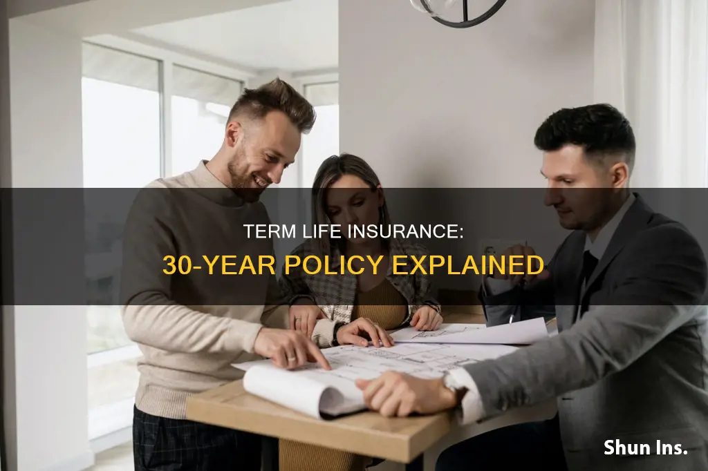 what is a 30 year term life insurance