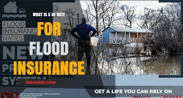 Understanding AE Flood Insurance Rates: What You Need to Know