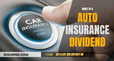 Understanding Auto Insurance Dividends and Their Benefits