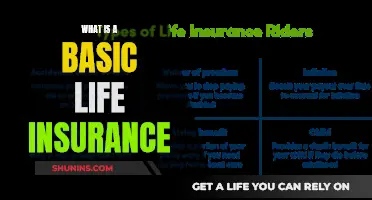 Life Insurance Basics: What You Need to Know