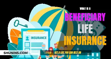 Beneficiary Life Insurance: Who Benefits and How?