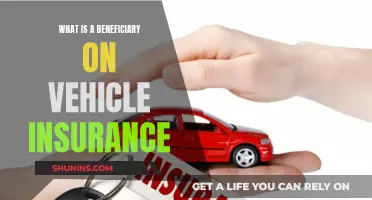 Beneficiary Basics: Vehicle Insurance