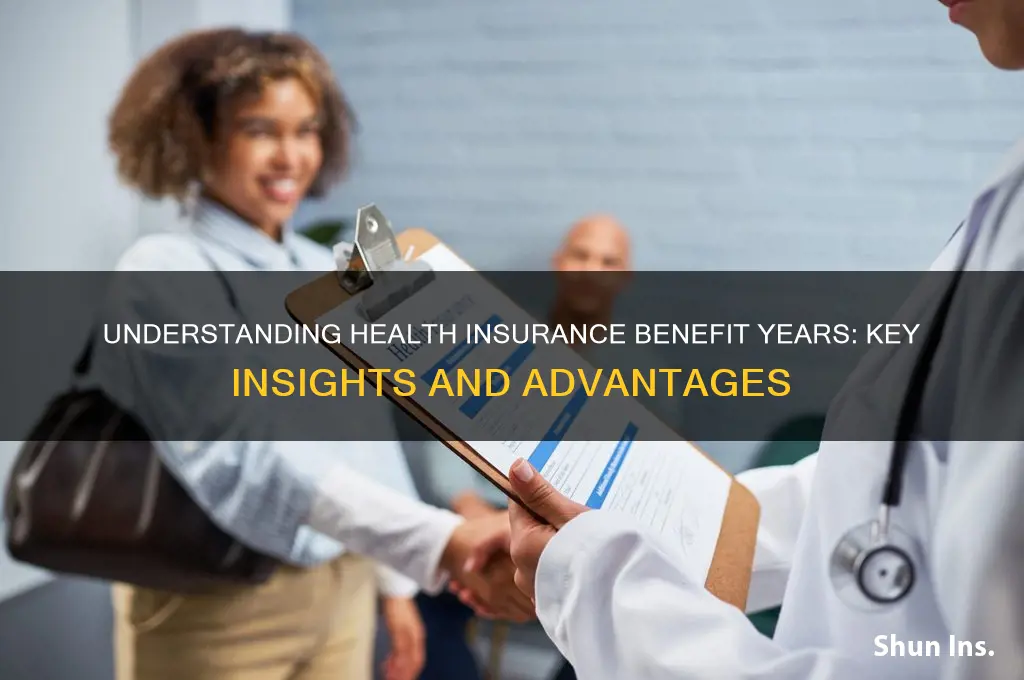 what is a benefit year for health insurance