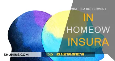 Betterment: Homeowners Insurance Explained