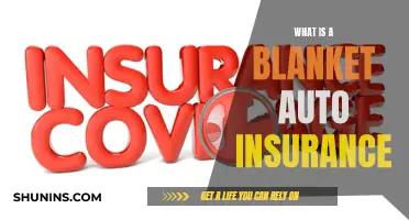 Understanding Blanket Auto Insurance Coverage and Its Benefits