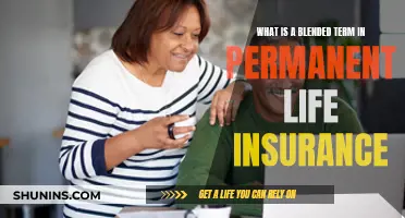 Understanding Blended Term Permanent Life Insurance Policies