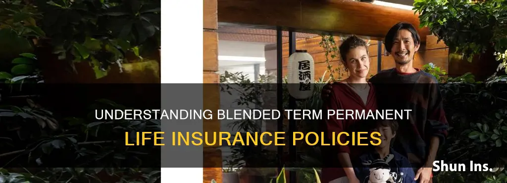 what is a blended term in permanent life insurance