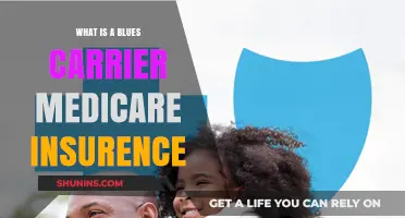 Understanding Blues Carrier: Your Medicare Insurance Companion
