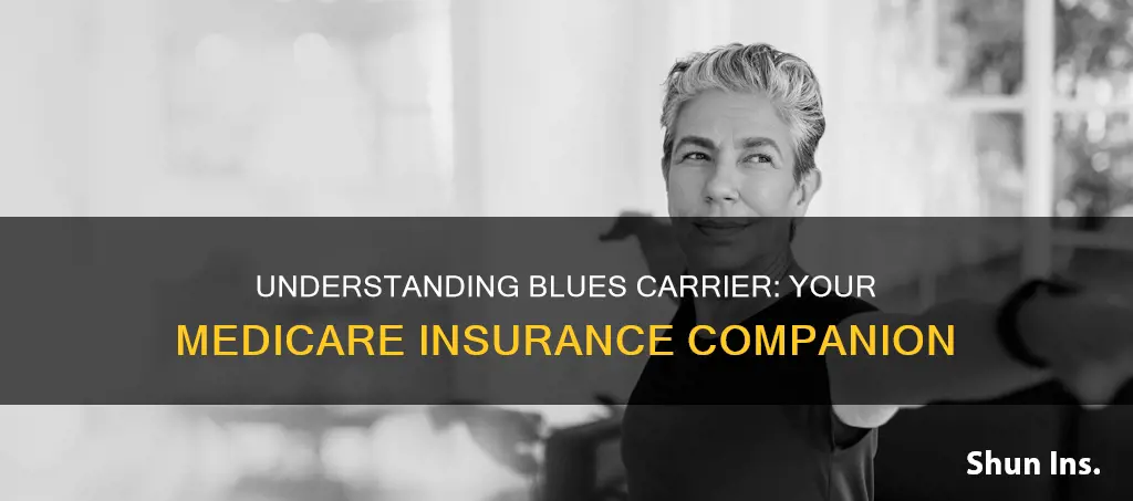 what is a blues carrier medicare insurence