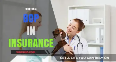 Understanding BOP Insurance: A Comprehensive Guide for Small Businesses