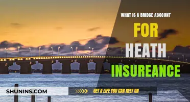 Understanding Bridge Accounts for Health Insurance