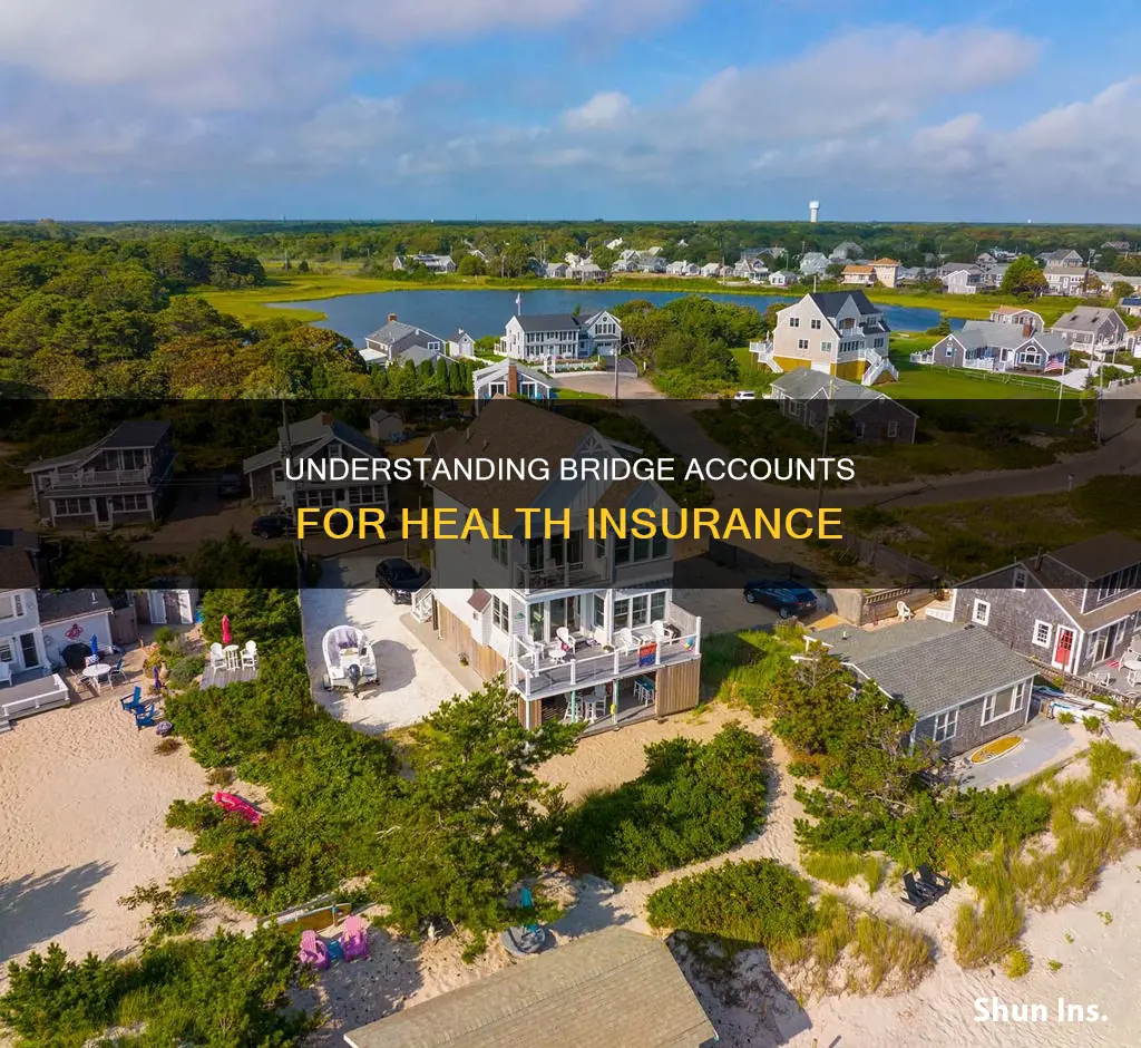 what is a bridge account for heath insureance