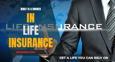 Life Insurance Broker: Who Are They and What Do They Do?