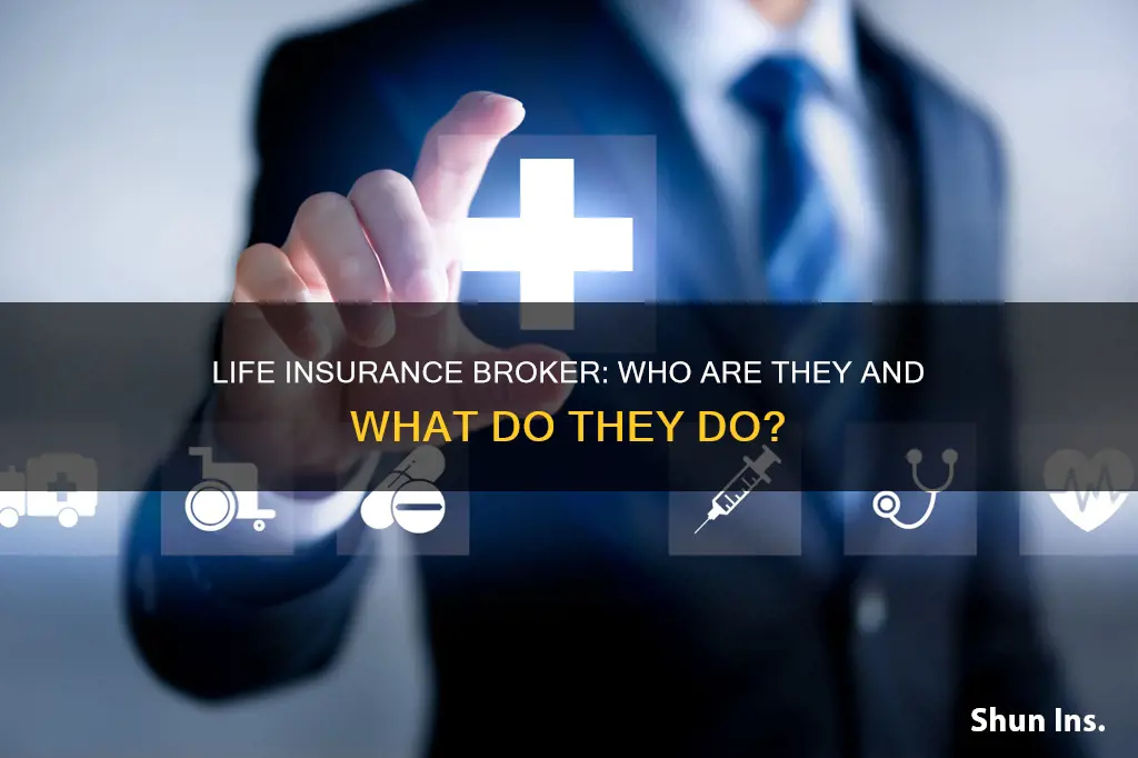 what is a broker in life insurance