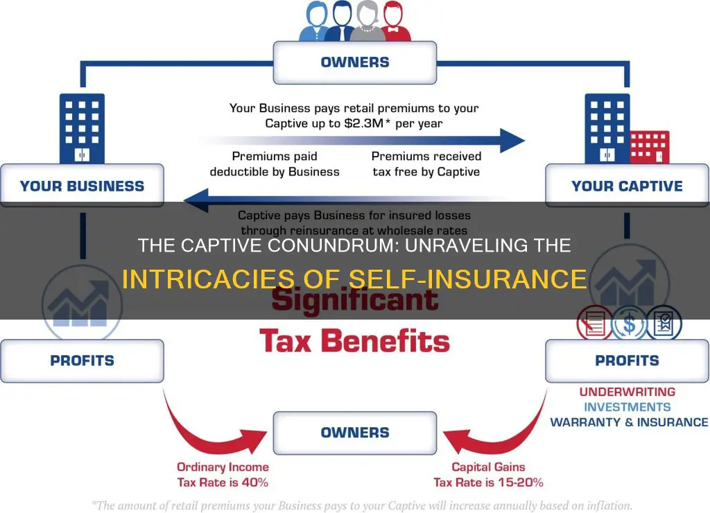 what is a captive in insurance terms