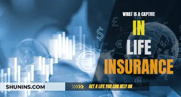 Captive Life Insurance: What You Need to Know