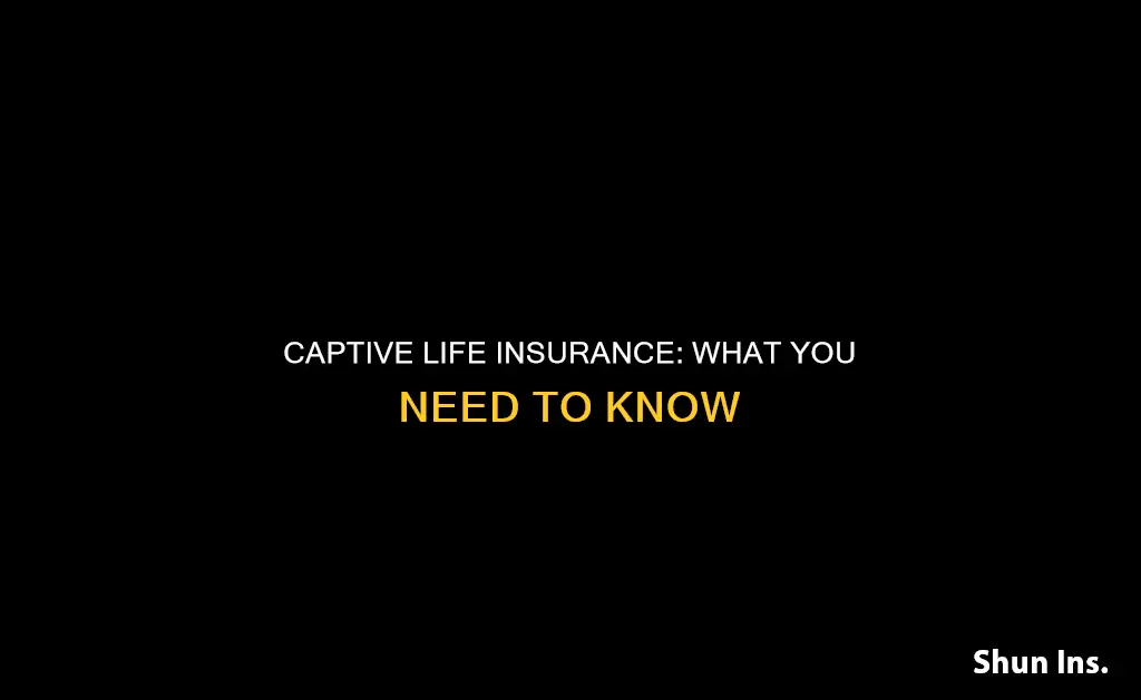 what is a captive in life insurance