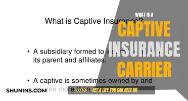 Captive Insurance Carrier Basics