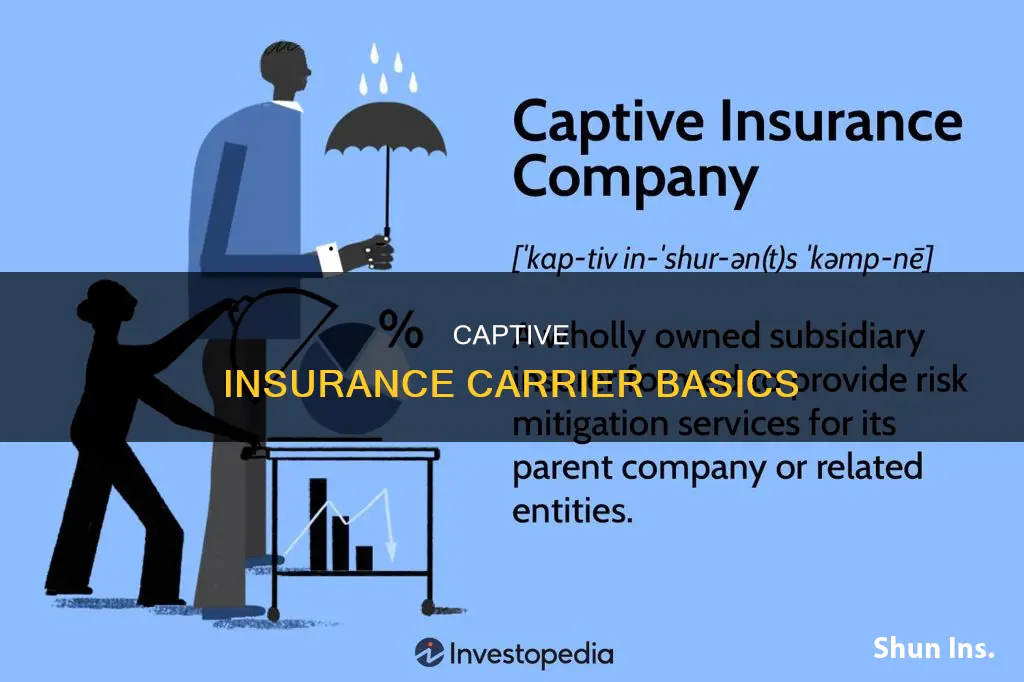 what is a captive insurance carrier