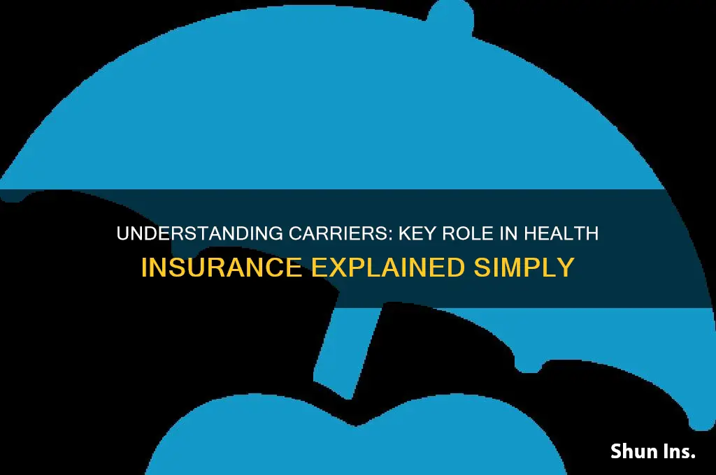 what is a carrier in health insurance