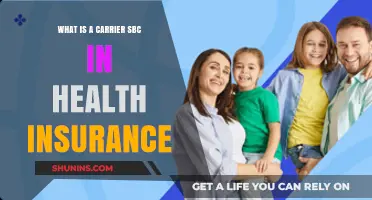 Understanding Carrier SBCs: Essential Guide to Health Insurance Compliance