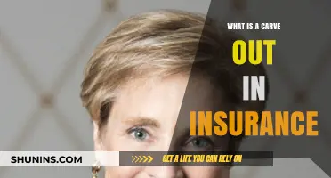 Understanding Carve-Outs in Insurance: Definition, Benefits, and Applications